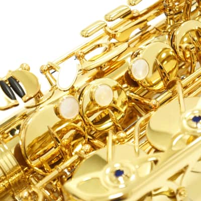 【Special price】 Yanagisawa A-WO10 [AW010] Professional Alto Saxophone image 4