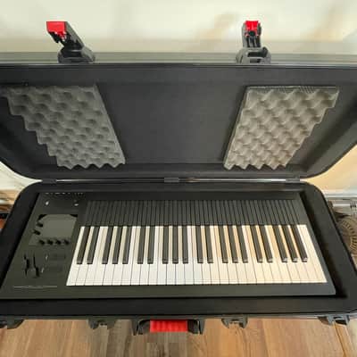 Expressive E Osmose 49-Key with hard case and mounting brackets. image 1