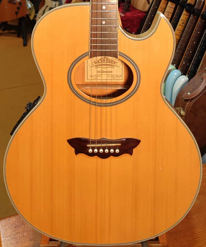 Washburn EA-2000 1999 - Natural image 1