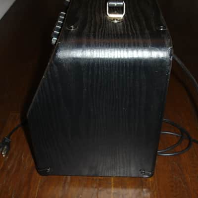 Guitar Research AC30R Acoustic Guitar and Microphone combo amp image 11
