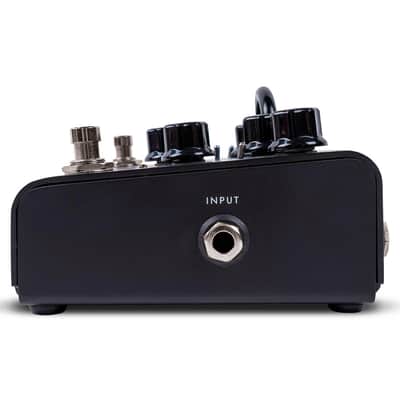 Immagine Blackstar Dept. 10 Dual Distortion - 8