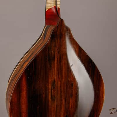 2014 Condino A style Mandolin, Brazilian Rosewood/Adirondack Spruce image 10