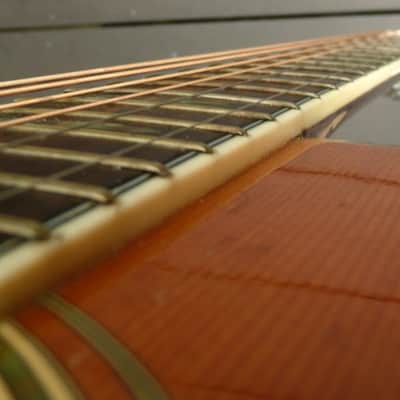 Morris W40 Brazilian Rosewood Jacaranda 1970's Natural Terada image 5