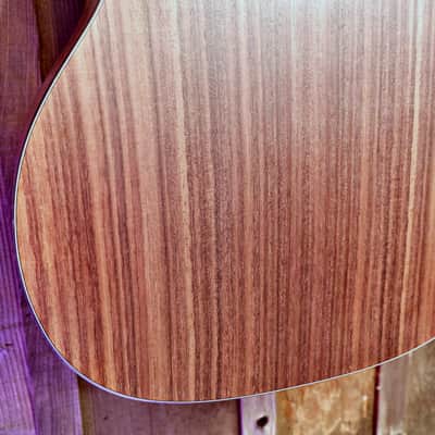 Eastman DM1 Gypsy Jazz - Natural image 19
