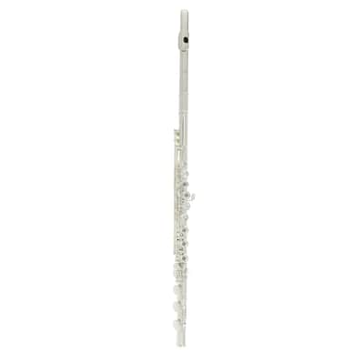 Di Zhao DZ801BOF (700 Series) Solid Silver Flute - Offset G, B Foot image 1