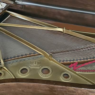 Steinway & Sons Model B Grand Piano Year 1916 image 2