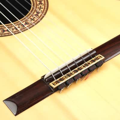 Dirk Janssen D30 Magma Concert Brazilian Rosewood 2014 image 7