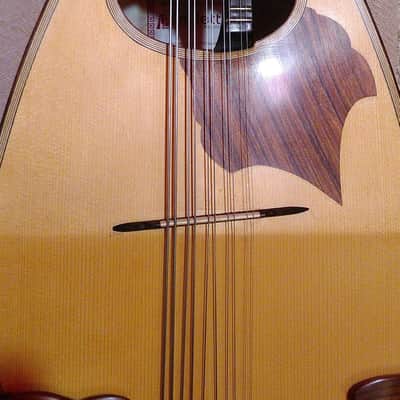 Liuto cantabile (mandocello 5 courses) image 4