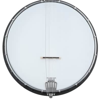 Gold Tone AC-4 Acoustic Composite 4-String Open-back Tenor Banjo image 2