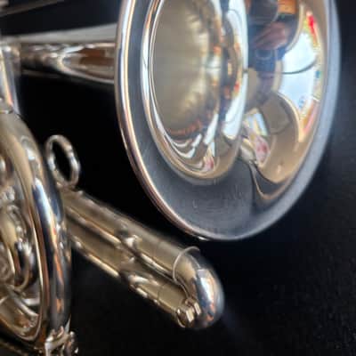 Blessing Artist Cornet - Silver image 12