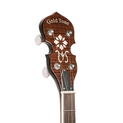 Gold Tone TS-250 Tenor Special 4-String Banjo w/Hardshell Case image 5