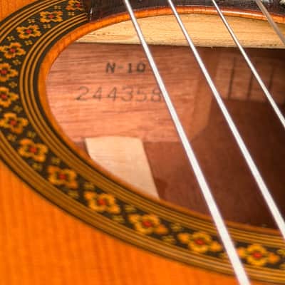 Martin N-10 1969 Natural image 3