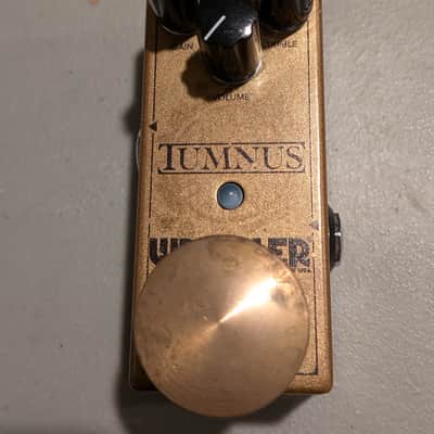 Wampler Tumnus 2010s - Gold image 1
