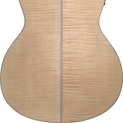 Washburn AD5CEPACK-A Apprentice Dreadnought Acoustic Electric Guitar Pack (AD5CEPACK-A-U) image 3