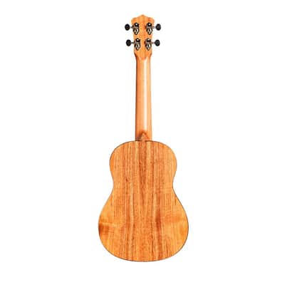 Cordoba 35T Tenor Ukulele Regular Acacia Natural image 2