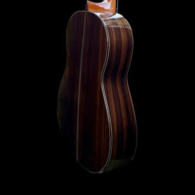 2025 Francisco Navarro SP/IN Flamenco Grand Concert Reyes image 5