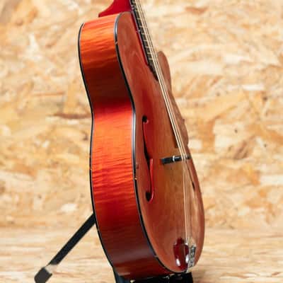 Quint Archtop Octave Mandolin Maple Short Scale Cutaway CS image 4
