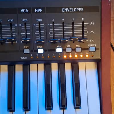 Behringer DeepMind 12 Traveling bag included image 4