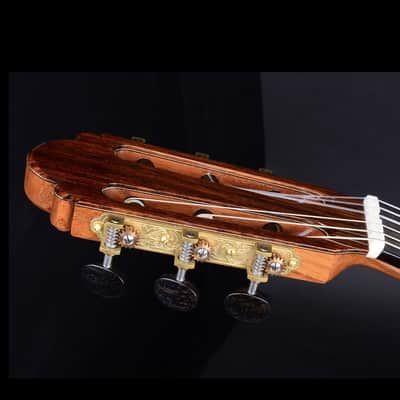 Kenny Hill Torres 2023-Spruce/Indian Rosewood-640 image 7