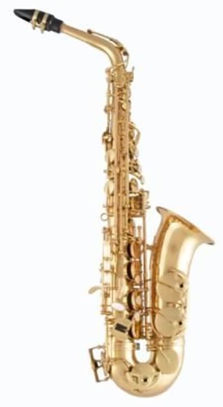 Selmer Alto Saxophone SAS511 Advanced Level Lacquer Finish 24086865 image 1