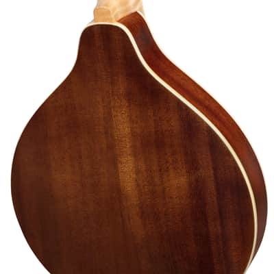 Ortega RMA200PF Americana Series A-Style Mandolin + Croco Leather Case image 17