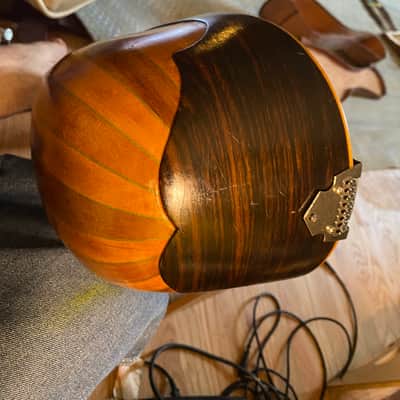 Unknown Bowlback Mandolin (needs nut) image 13