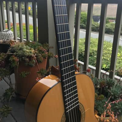 Flamenco Guitar J. Farre F 1A 2004 image 3