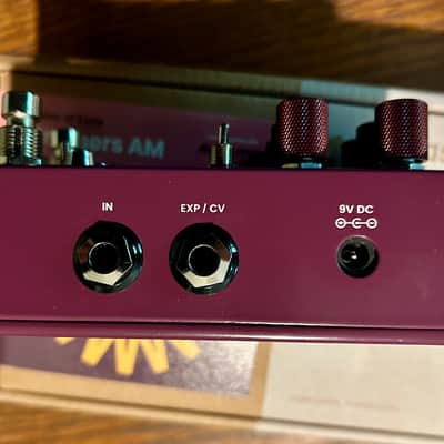 Chase Bliss Audio Brothers AM 2025 - Present - Various image 6