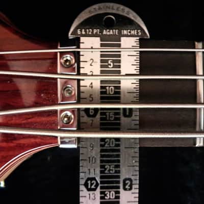 Alembic Darling 2023 - polyester image 23