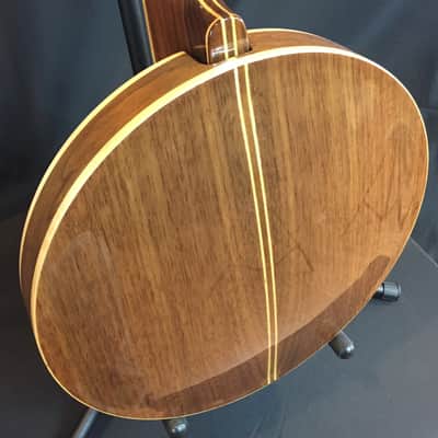 Tyler Mountain TM-800  Pro Model 5-String Banjo w/ Hardshell Case image 15