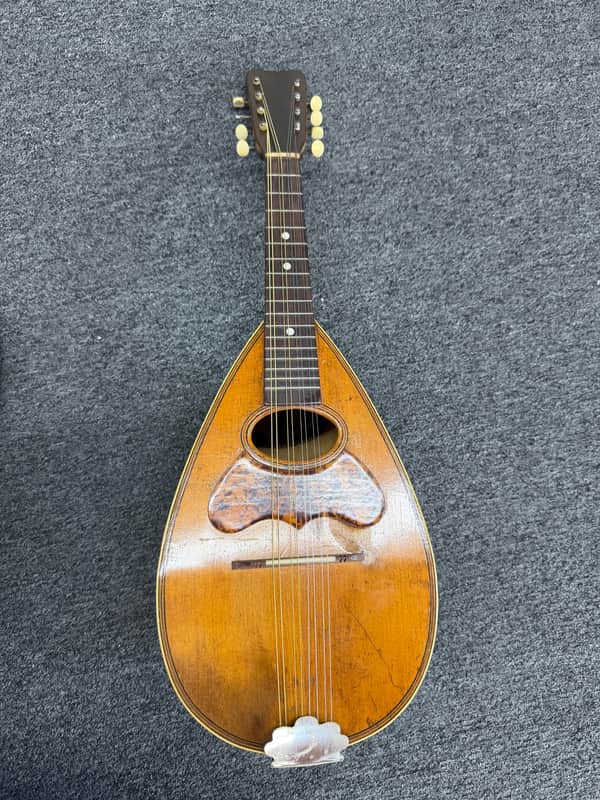 Bowl Back Mandolin