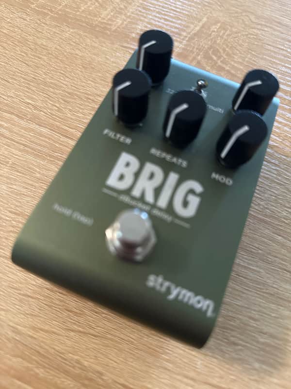 Strymon Brig dBucket Delay