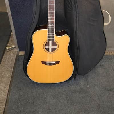 Parkwood PW560 6-String Acoustic Electric Guitar image 1