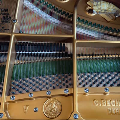 Immagine Bechstein V 1903 - Black Polish - 4