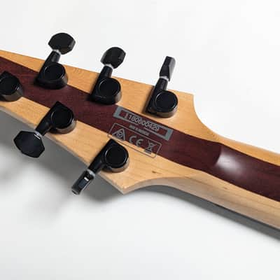 Ibanez RGDIM6FM-CLF Iron Label 2018 image 20
