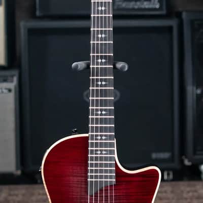 Taylor T5z Pro Hollow Body Electric Guitar - Grapevine with Hardshell Case - Factory Demo image 4