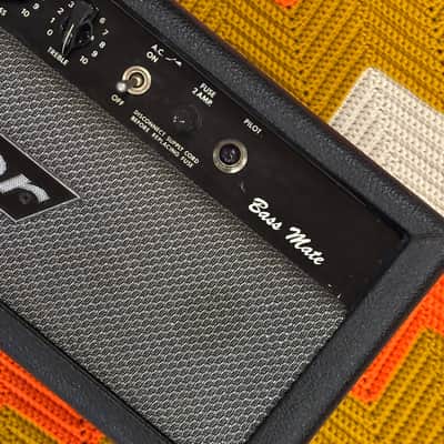 Traynor Bass Mate - 1970’s Made in Canada 🇨🇦! - The Sparkliest and Most Beautiful Traynor! - image 3