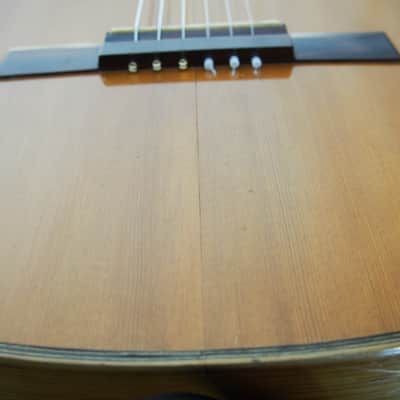Manuel Villafan Classical, very ornate, nice tone and playability, basic case included. image 22