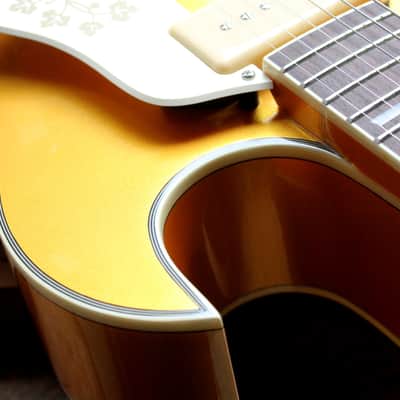 STANFORD "CR Fatboy 95 Bigsby B60 Golden" HARDCASE, 3, 38 KG image 4