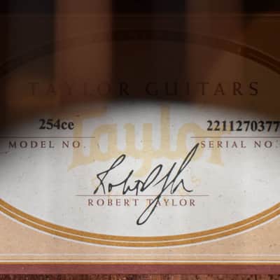 2020 Taylor 254ce 12-String Natural image 15