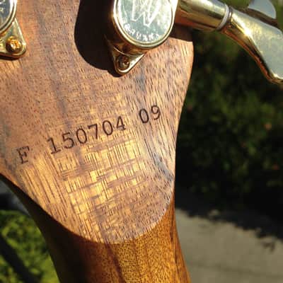 Warwick Streamer/Jazzman FNA 2004 Natural image 9