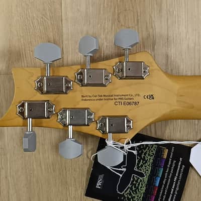 PRS SE Silver Sky 2022 - 2023 - Ever Green image 7