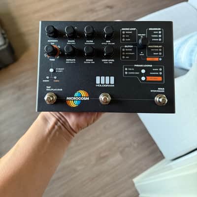 Hologram Electronics Microcosm | Reverb