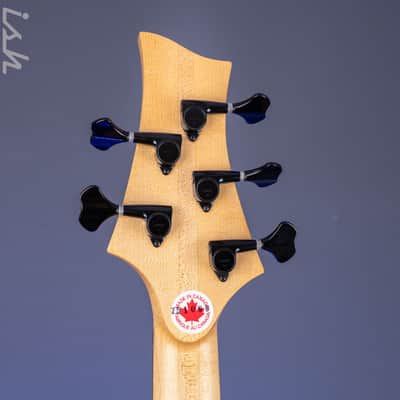 2004 F Bass BNF5 Fretless Transparent Red image 22