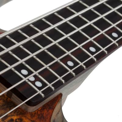 Schecter Riot-5 Bass Inferno Burst image 11