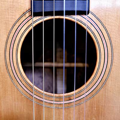 1915 Washburn Parlor Guitar image 8
