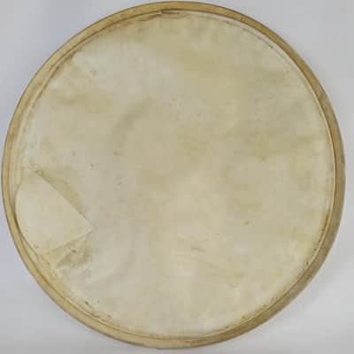 Leedy 18"Calf Skin Bass Drum/Floor Tom Head Maple Flesh Hoop Superior Hardwhite* image 4