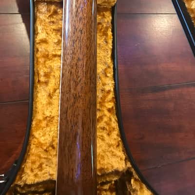 Goodall 2020 Standard Master Grade (Bearclaw) German/AAA Cocobolo (BRAND NEW) image 9