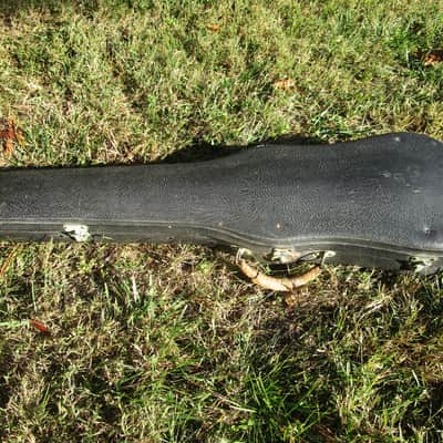 Lyon & Healy Violin, "The Student", 1907, Made In France, Case image 16