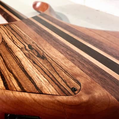 Warrior Dran Michael Buckeye Burl 5 String - Showroom Demo image 5
